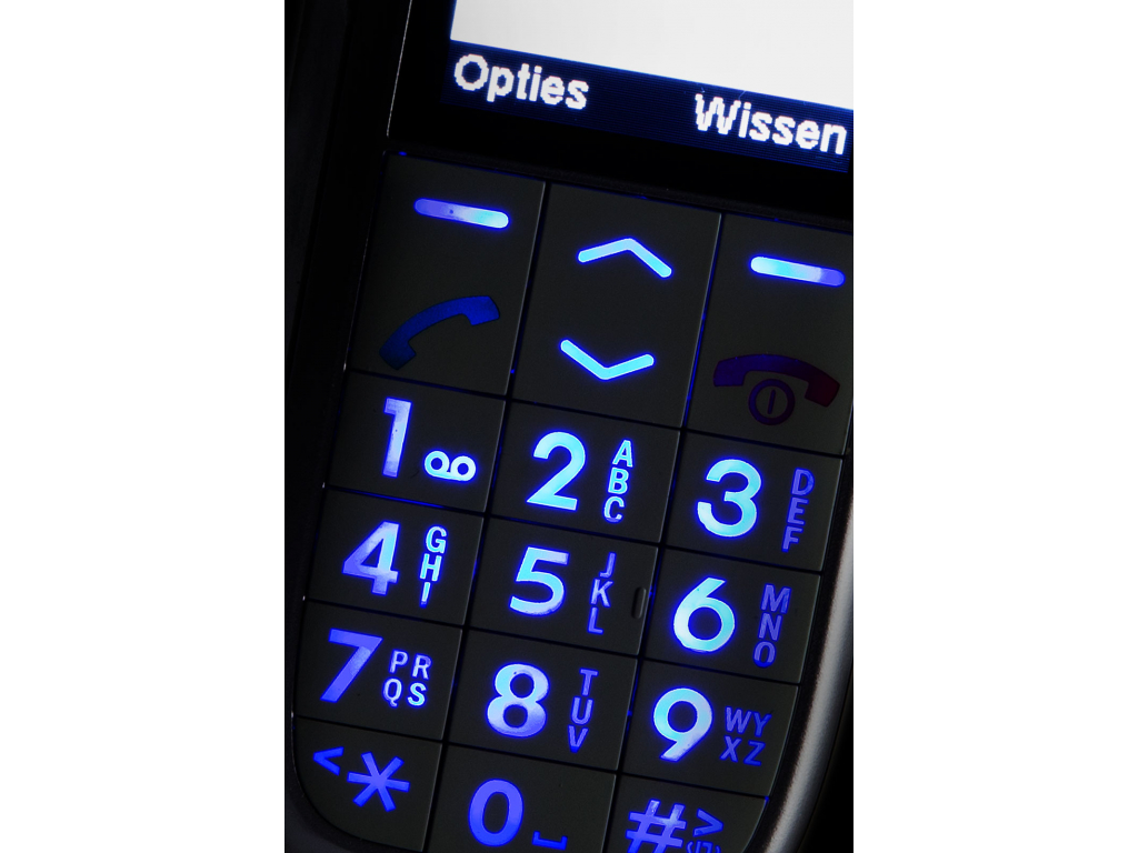 PM-595 Profoon Big Button GSM incl. Cradle Silver
